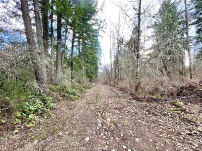 12631 200th Street E, Graham, WA 98338 - Photo 26