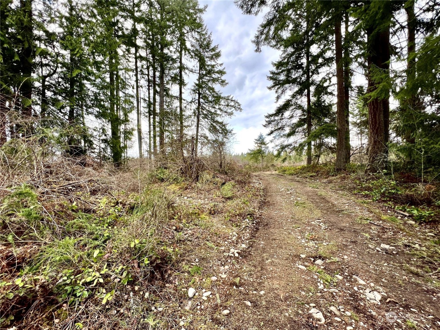 12631 200th Street E, Graham, WA 98338