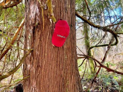 12631 200th Street E, Graham, WA 98338 - Photo 28