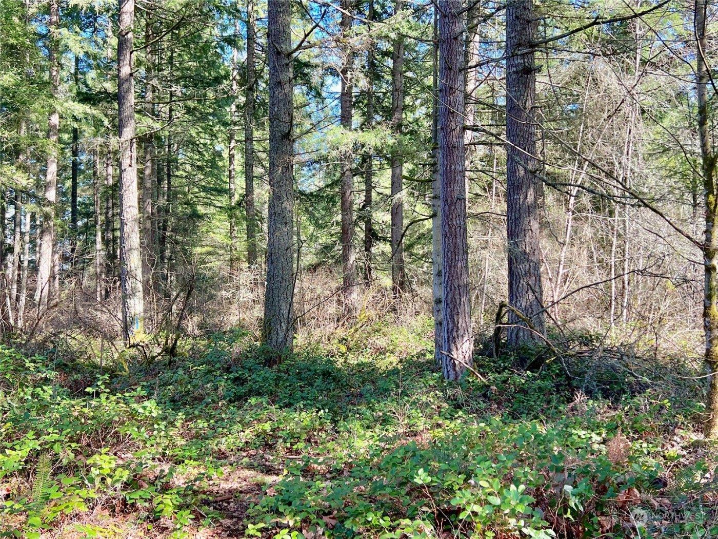 12631 200th Street E, Graham, WA 98338