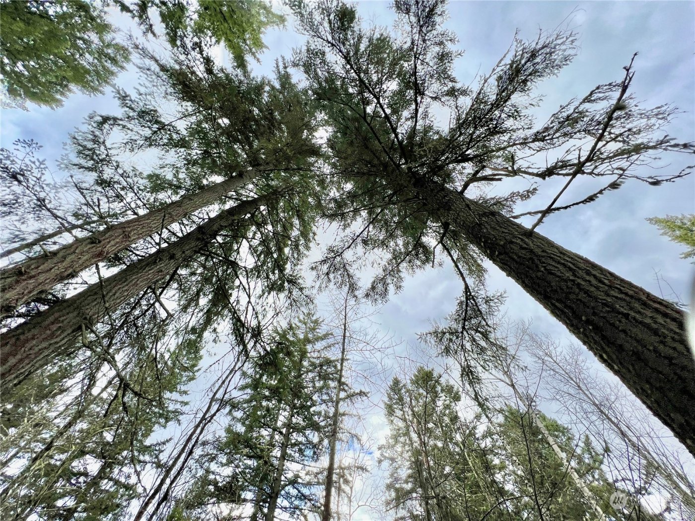 12631 200th Street E, Graham, WA 98338