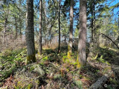 12631 200th Street E, Graham, WA 98338 - Photo 34