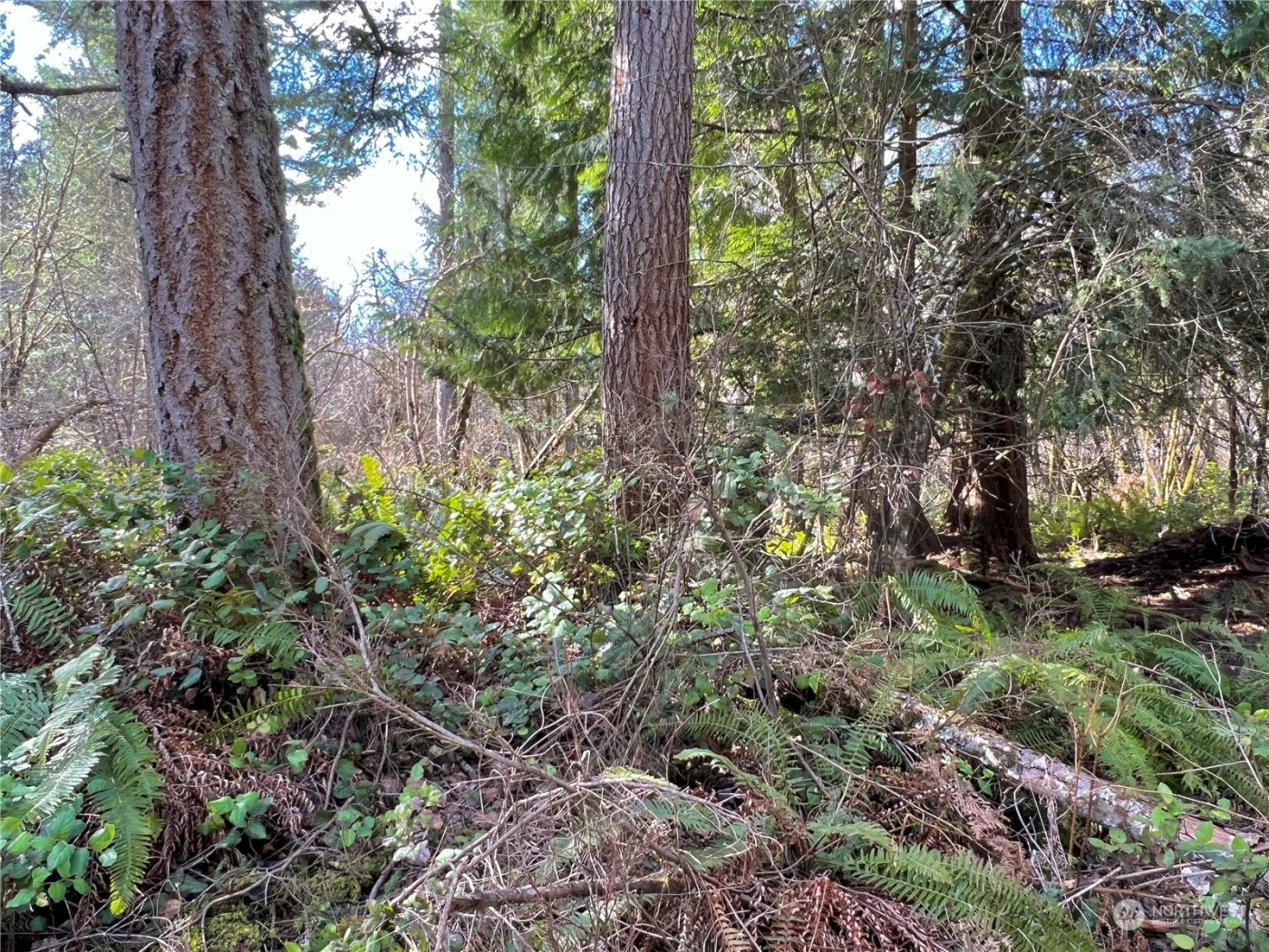 12631 200th Street E, Graham, WA 98338