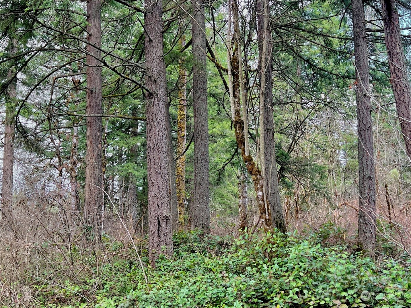 12631 200th Street E, Graham, WA 98338