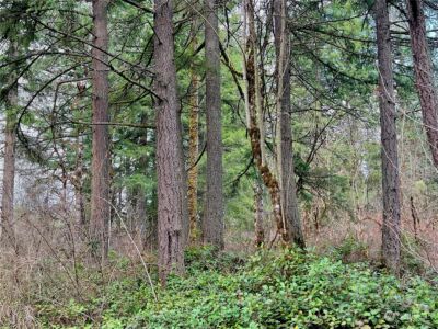 12631 200th Street E, Graham, WA 98338 - Photo 7