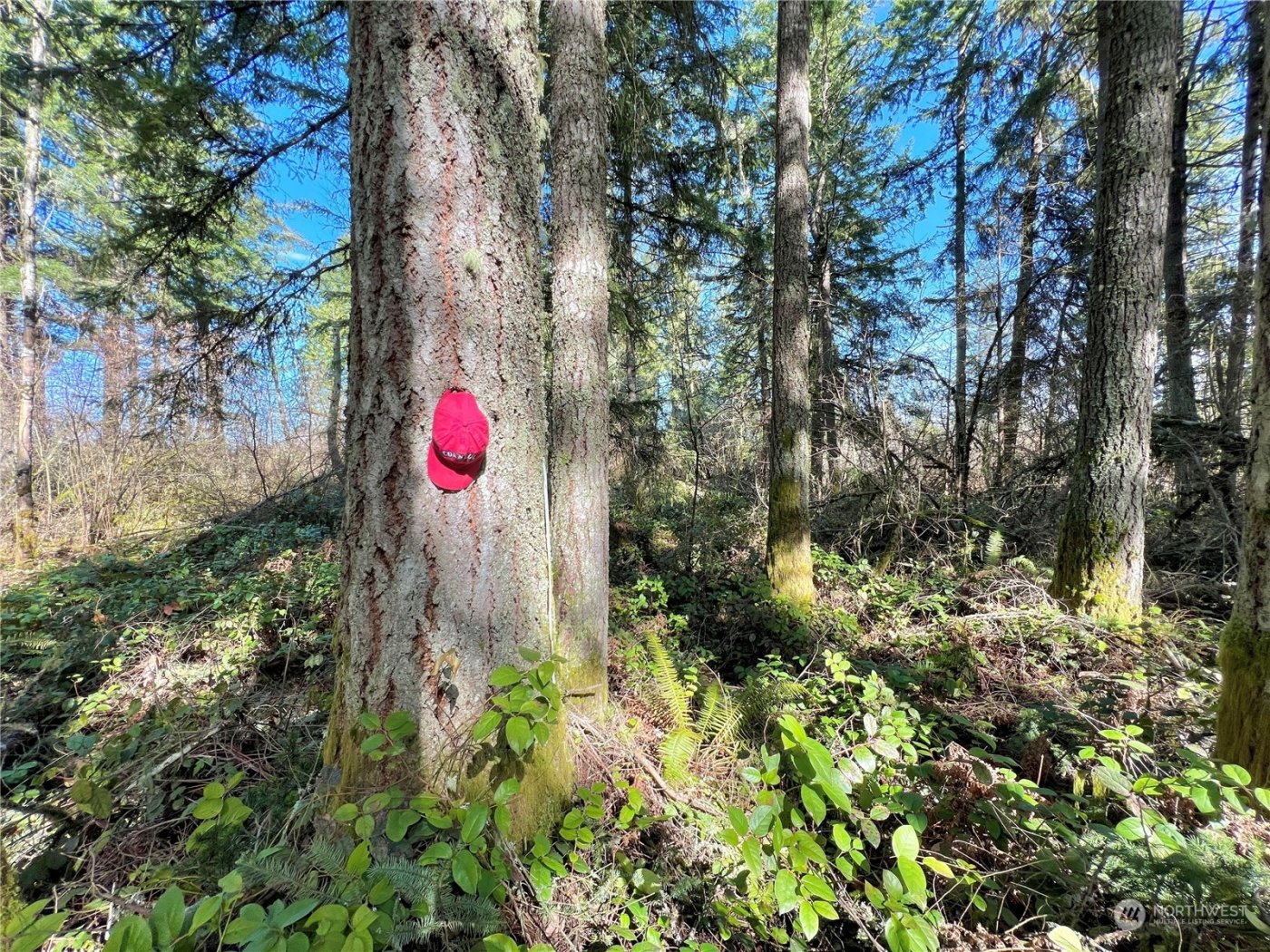 12631 200th Street E, Graham, WA 98338