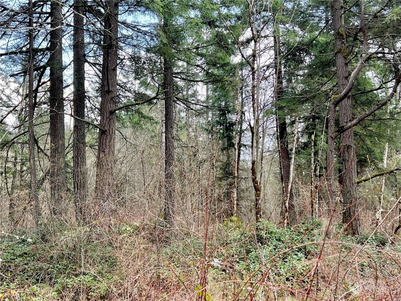 12631 200th Street E, Graham, WA 98338