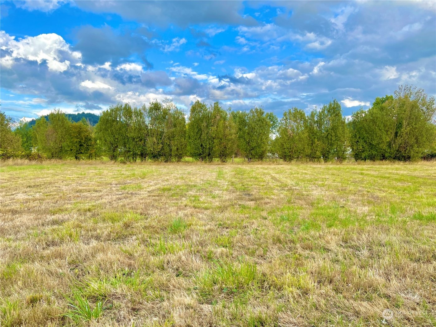 1684 Collins Road , Buckley, WA 98321