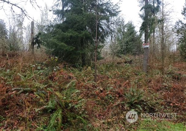 0 NE Union Hill Road , Redmond, WA 98053