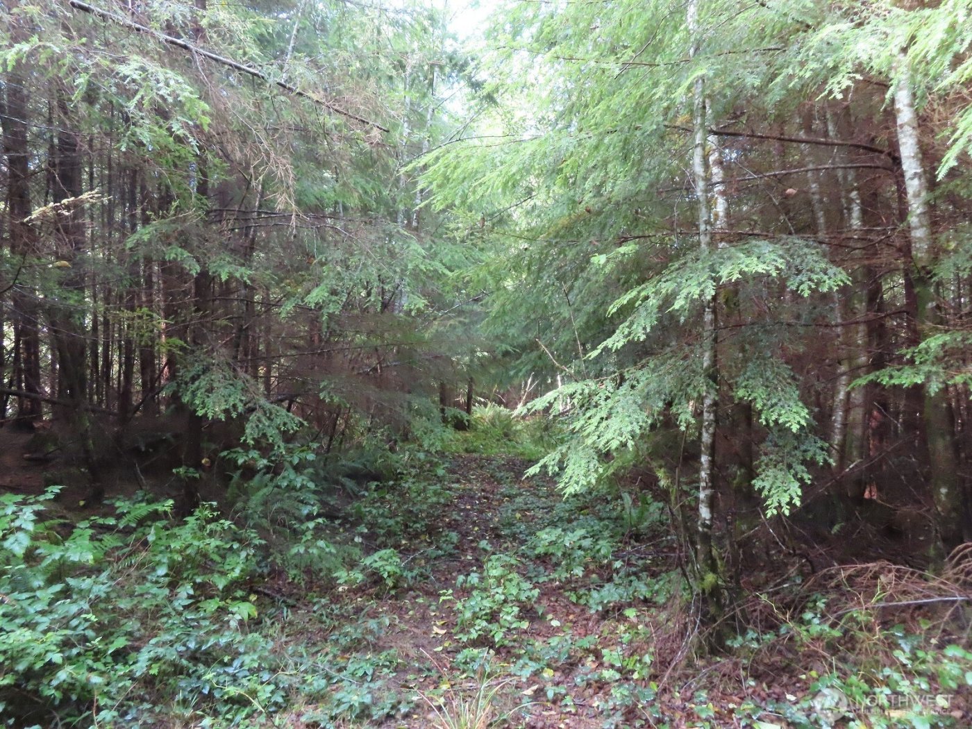 0 Tract 2 State Route 101 , South Bend, WA 98596