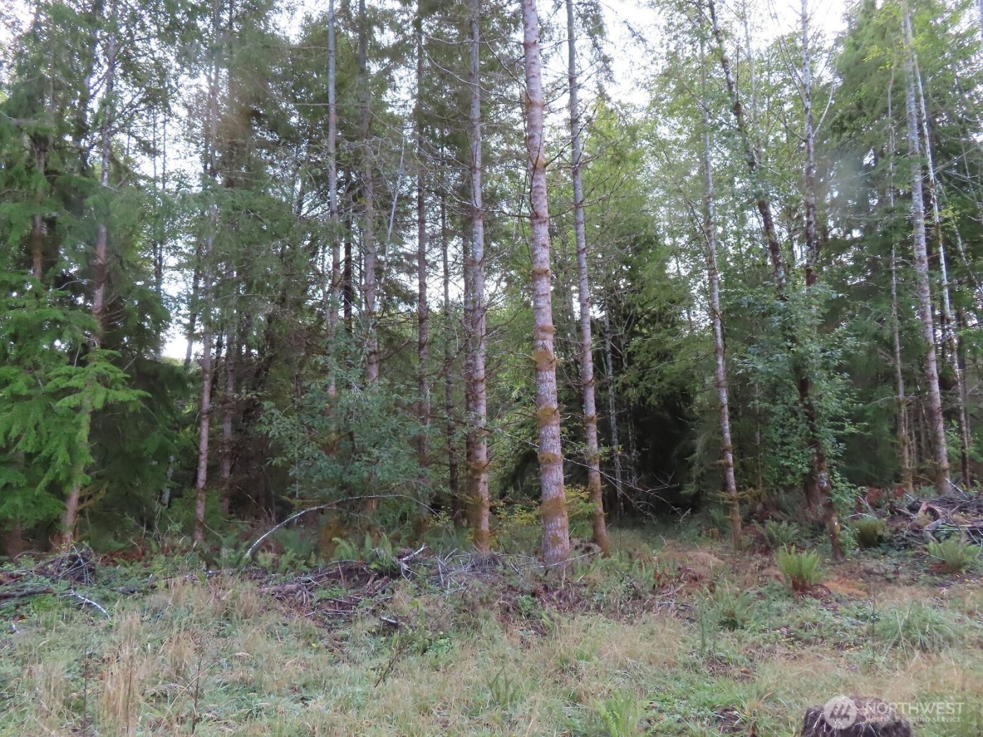 0 Tract 2 State Route 101 , South Bend, WA 98596