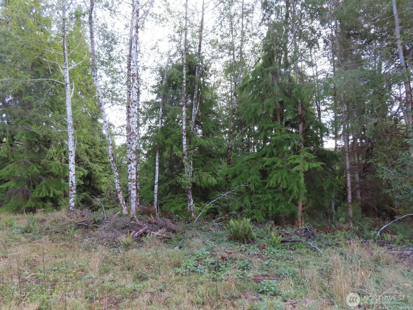 0 Tract 2 State Route 101 , South Bend, WA 98596