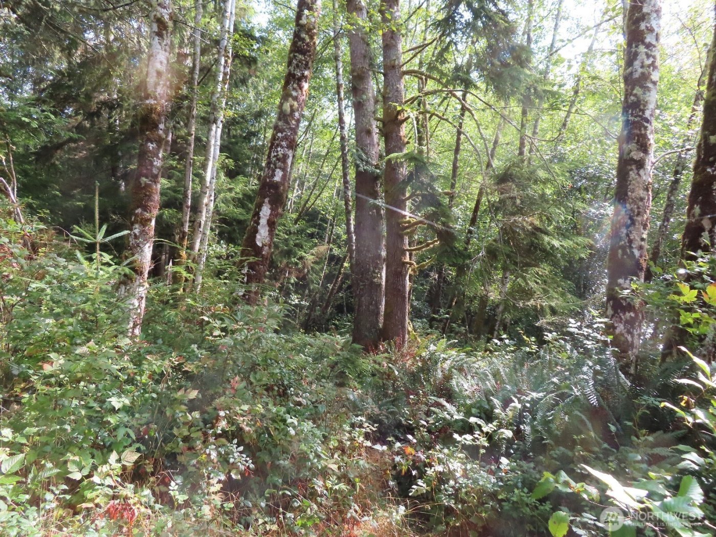 0 Tract 2 State Route 101 , South Bend, WA 98596