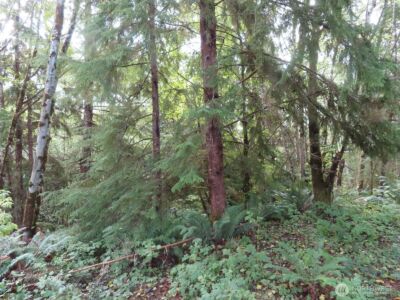 0 Tract 2 State Route 101 , South Bend, WA 98596 - Photo 18