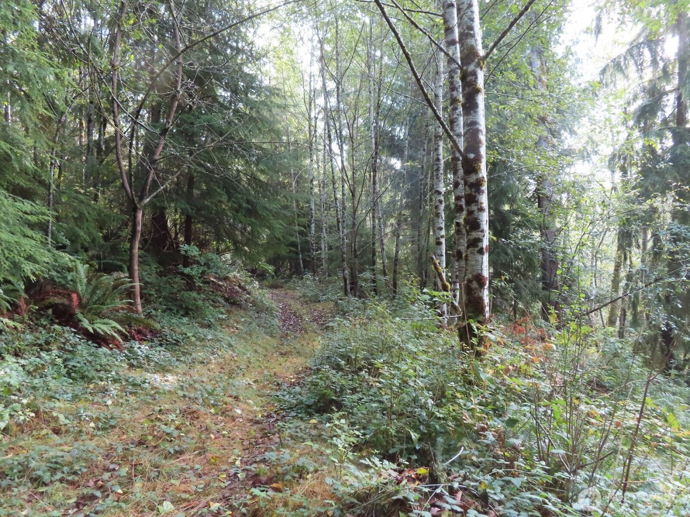 0 Tract 2 State Route 101 , South Bend, WA 98596