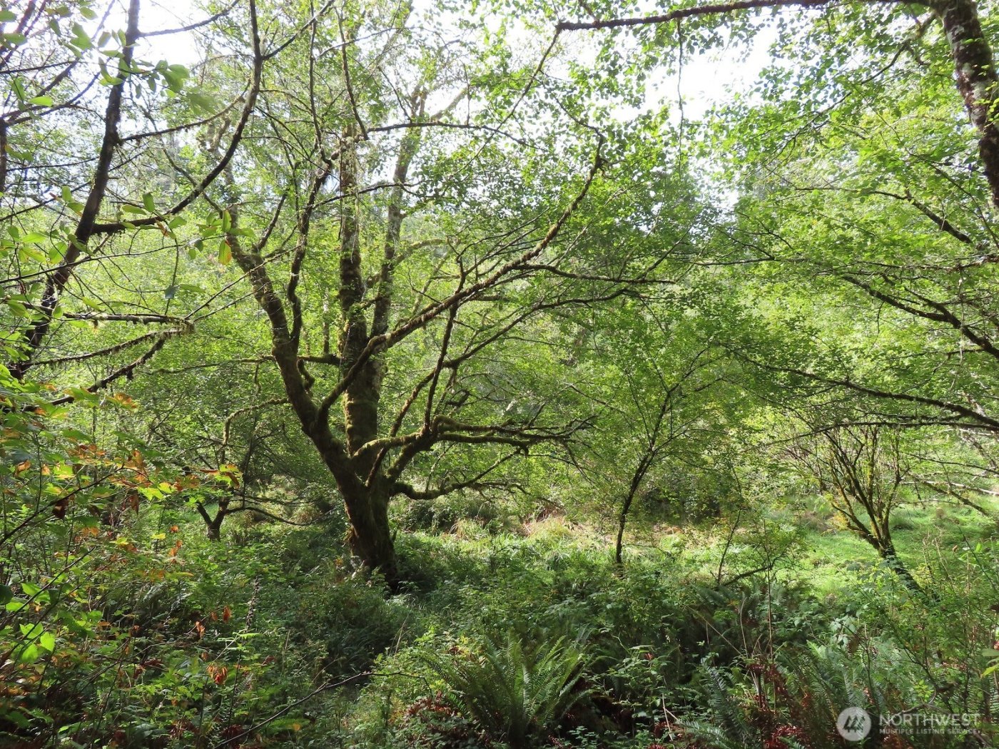 0 Tract 2 State Route 101 , South Bend, WA 98596