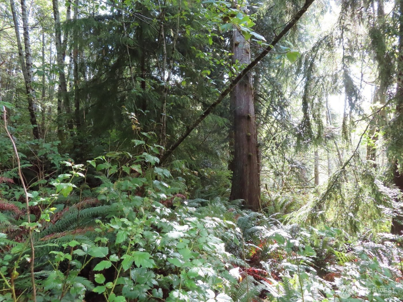 0 Tract 2 State Route 101 , South Bend, WA 98596