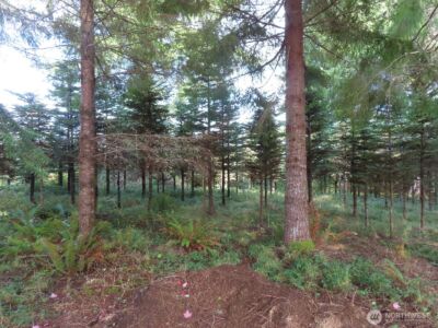 0 Tract 2 State Route 101 , South Bend, WA 98596 - Photo 10