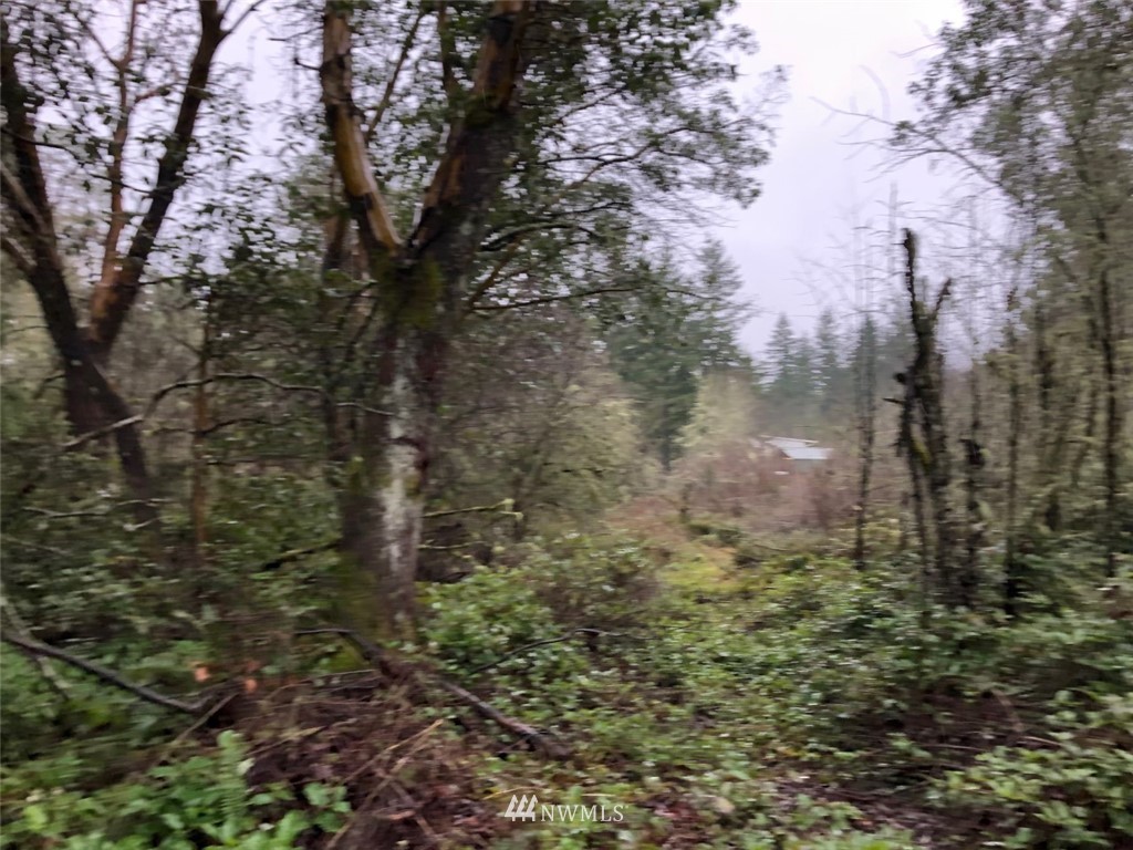 58 xx W Werner Road , Bremerton, WA 98312