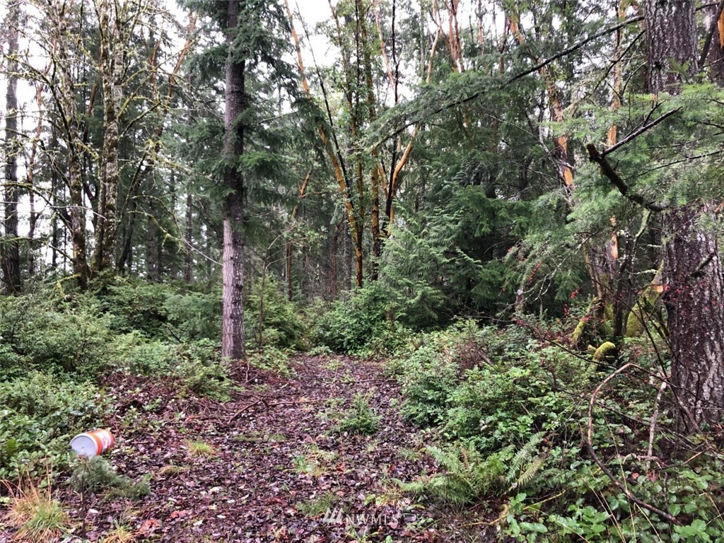 58 xx W Werner Road , Bremerton, WA 98312