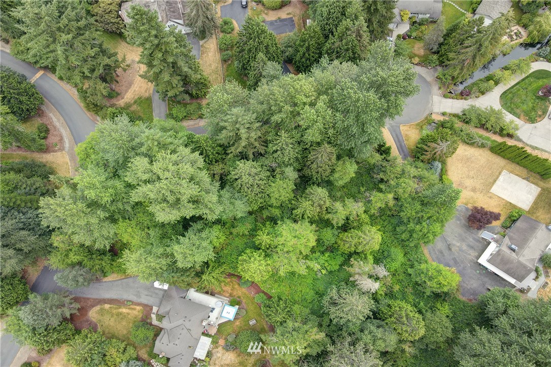 11217 167th Ct NE, Redmond, WA 98052