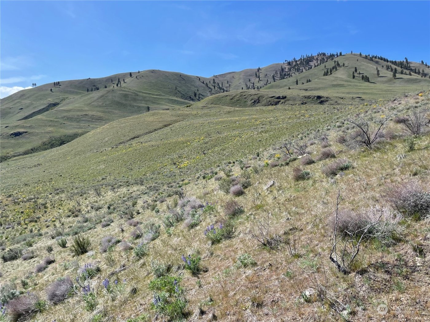 0 NNA E Iowa Street , Chelan, WA 98816