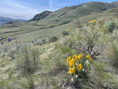 0 NNA E Iowa Street , Chelan, WA 98816 - Photo 3