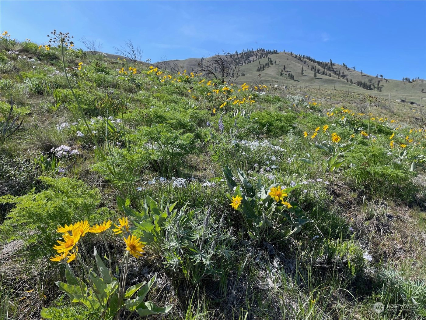 0 NNA E Iowa Street , Chelan, WA 98816