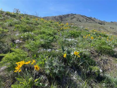 0 NNA E Iowa Street , Chelan, WA 98816 - Photo 5