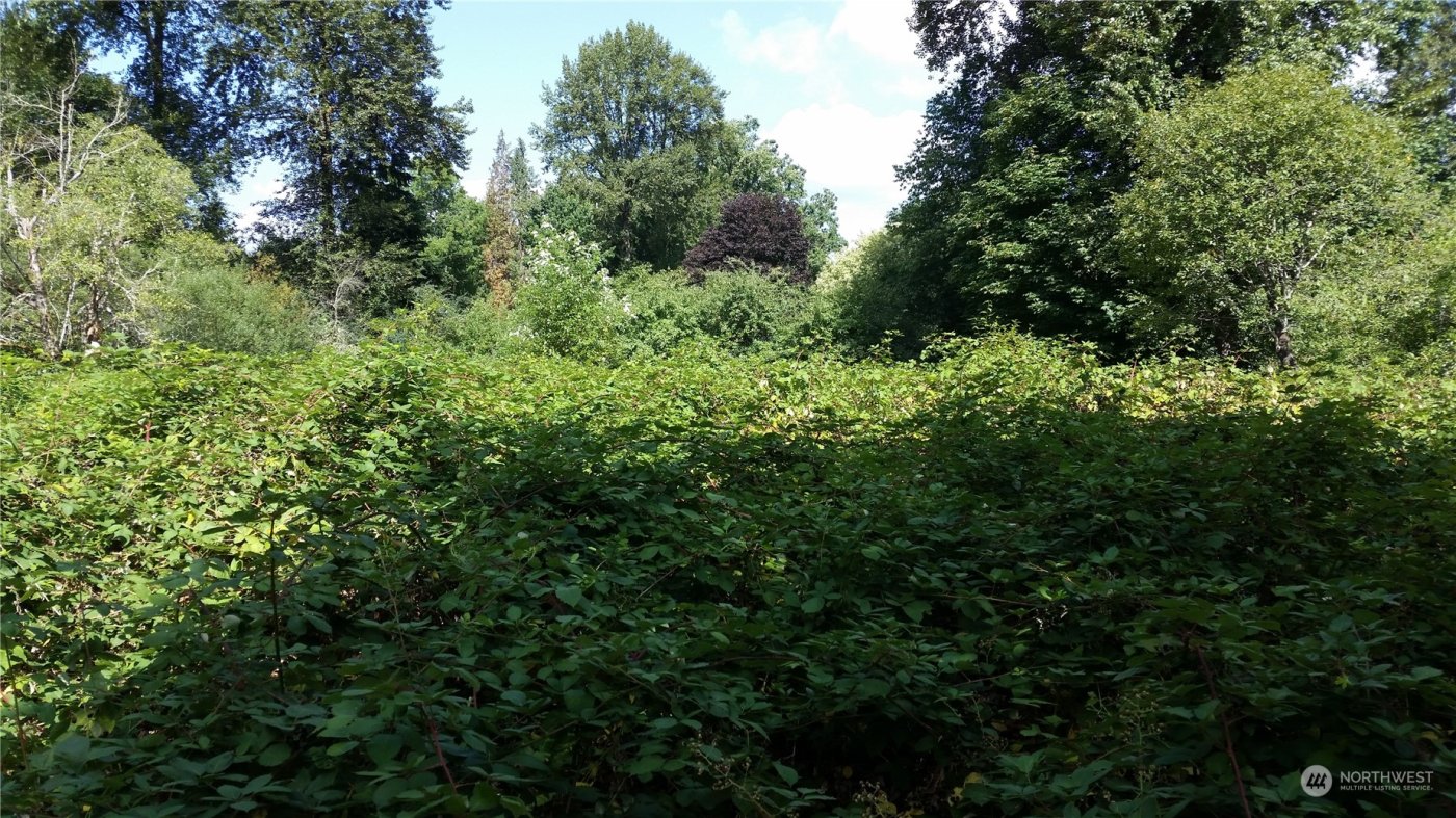 1560 Sycamore Drive SE, Issaquah, WA 98027