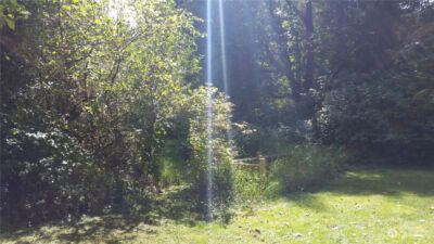 1560 Sycamore Drive SE, Issaquah, WA 98027 - Photo 7