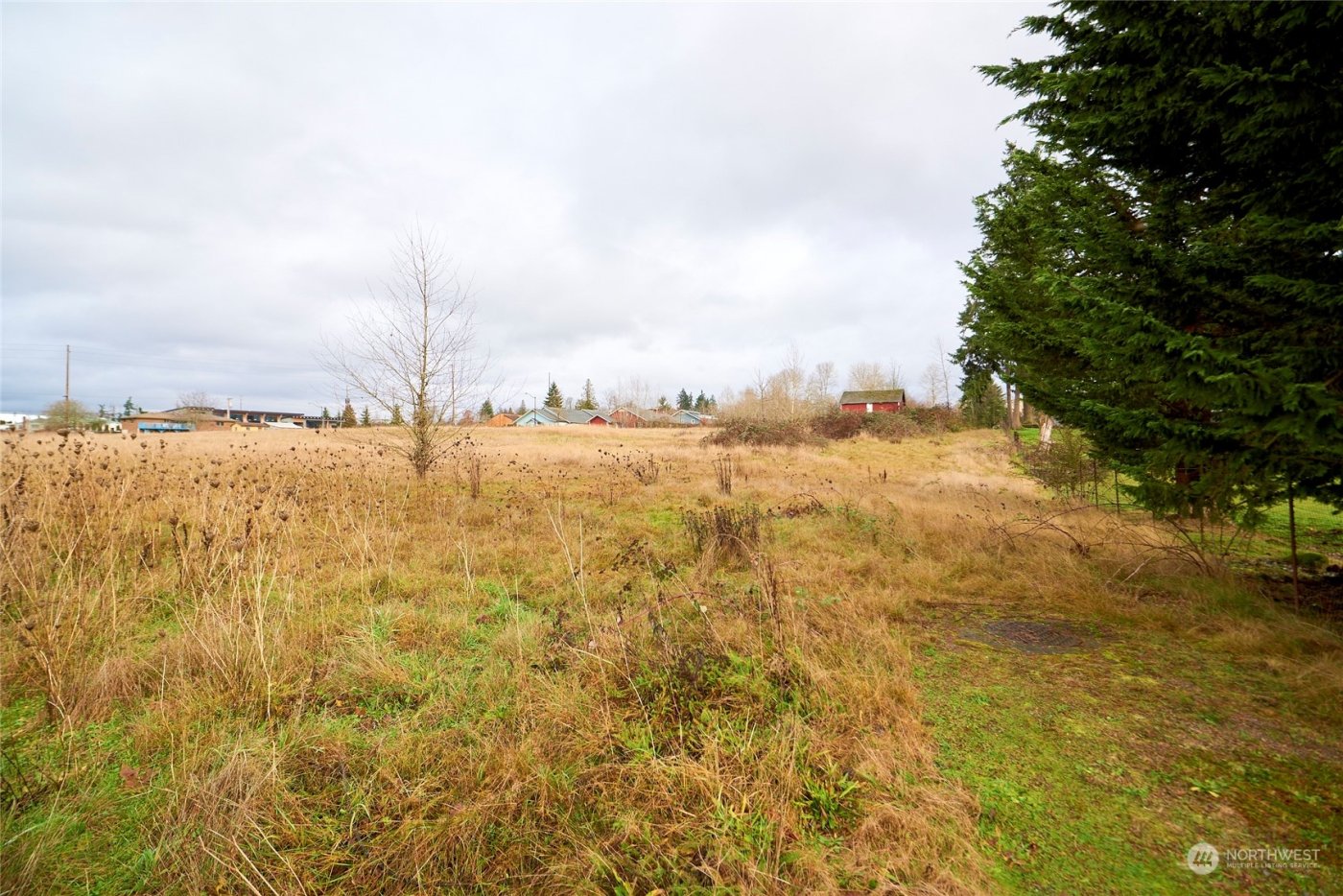 10014 24th Street E, Edgewood, WA 98371-2131