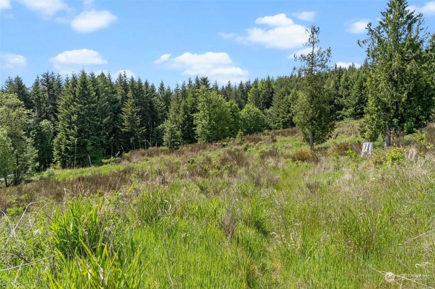 0 Germaine Drive , Chehalis, WA 98532