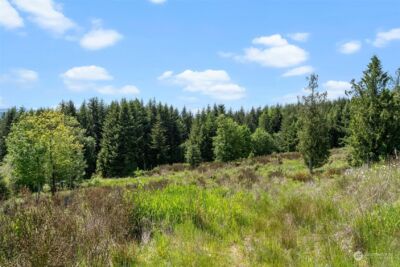 0 Germaine Drive , Chehalis, WA 98532 - Photo 33