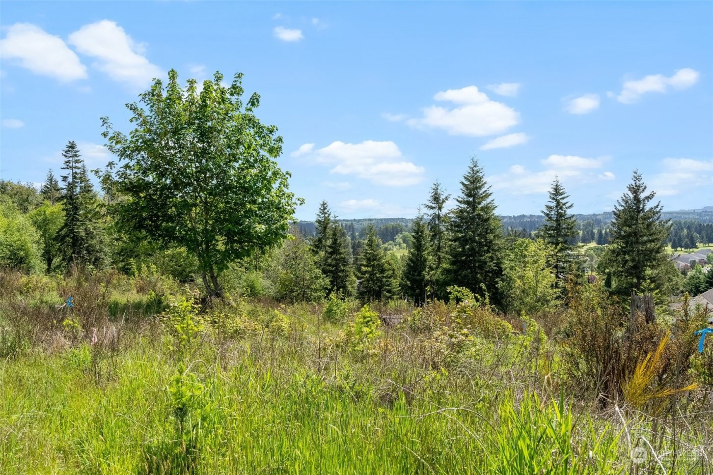 0 Germaine Drive , Chehalis, WA 98532