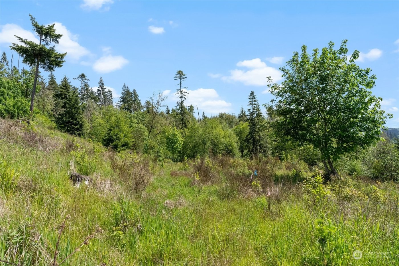 0 Germaine Drive , Chehalis, WA 98532