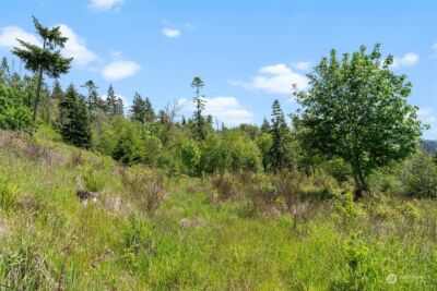 0 Germaine Drive , Chehalis, WA 98532 - Photo 35