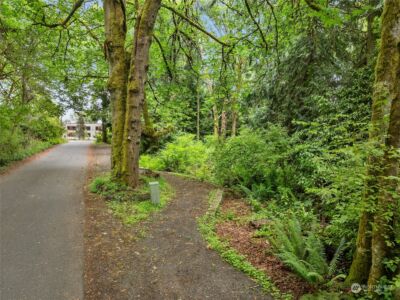 0 NE Ocean (Lot B) Drive , Bainbridge Island, WA 98110 - Photo 11