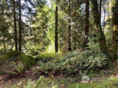 8900 144th Place SE, Newcastle, WA 98059