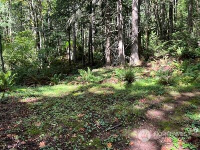 8900 144th Place SE, Newcastle, WA 98059 - Photo 2