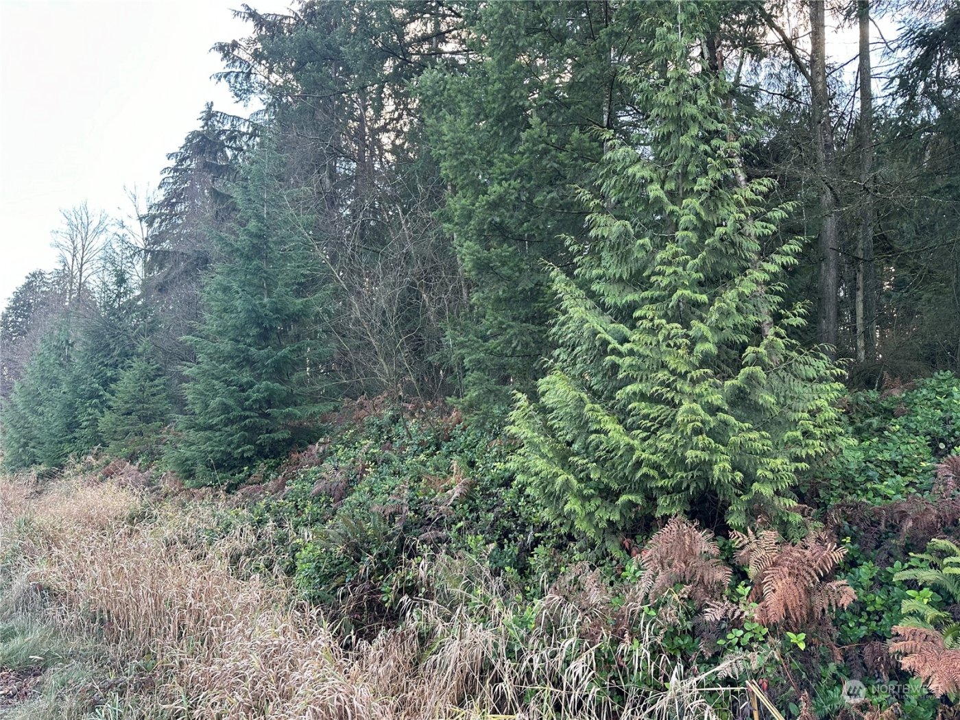 8300 SR9 , Marysville, WA 98270