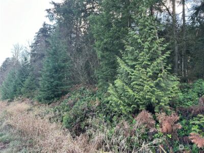 8300 SR9 , Marysville, WA 98270 - Photo 2