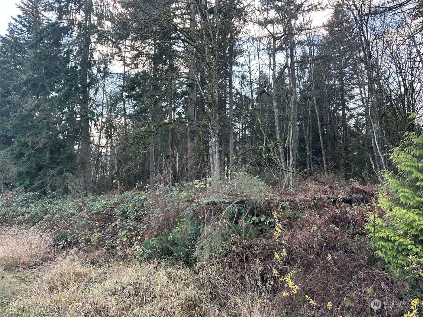 8300 SR9 , Marysville, WA 98270