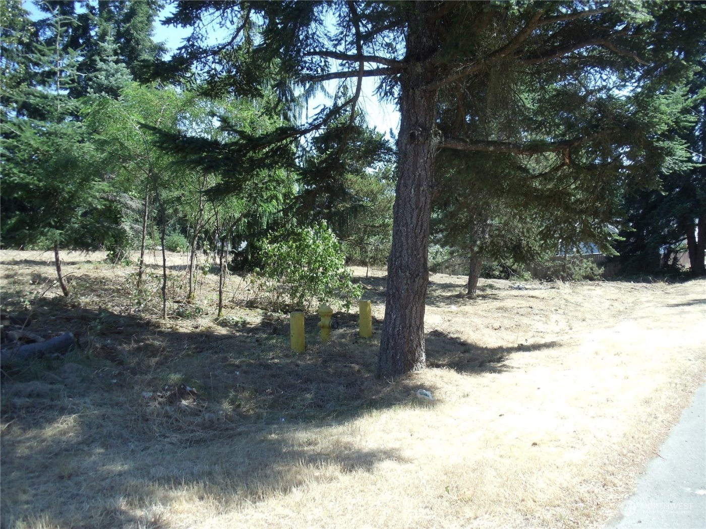 37255 39th Avenue S, Auburn, WA 98001-8707