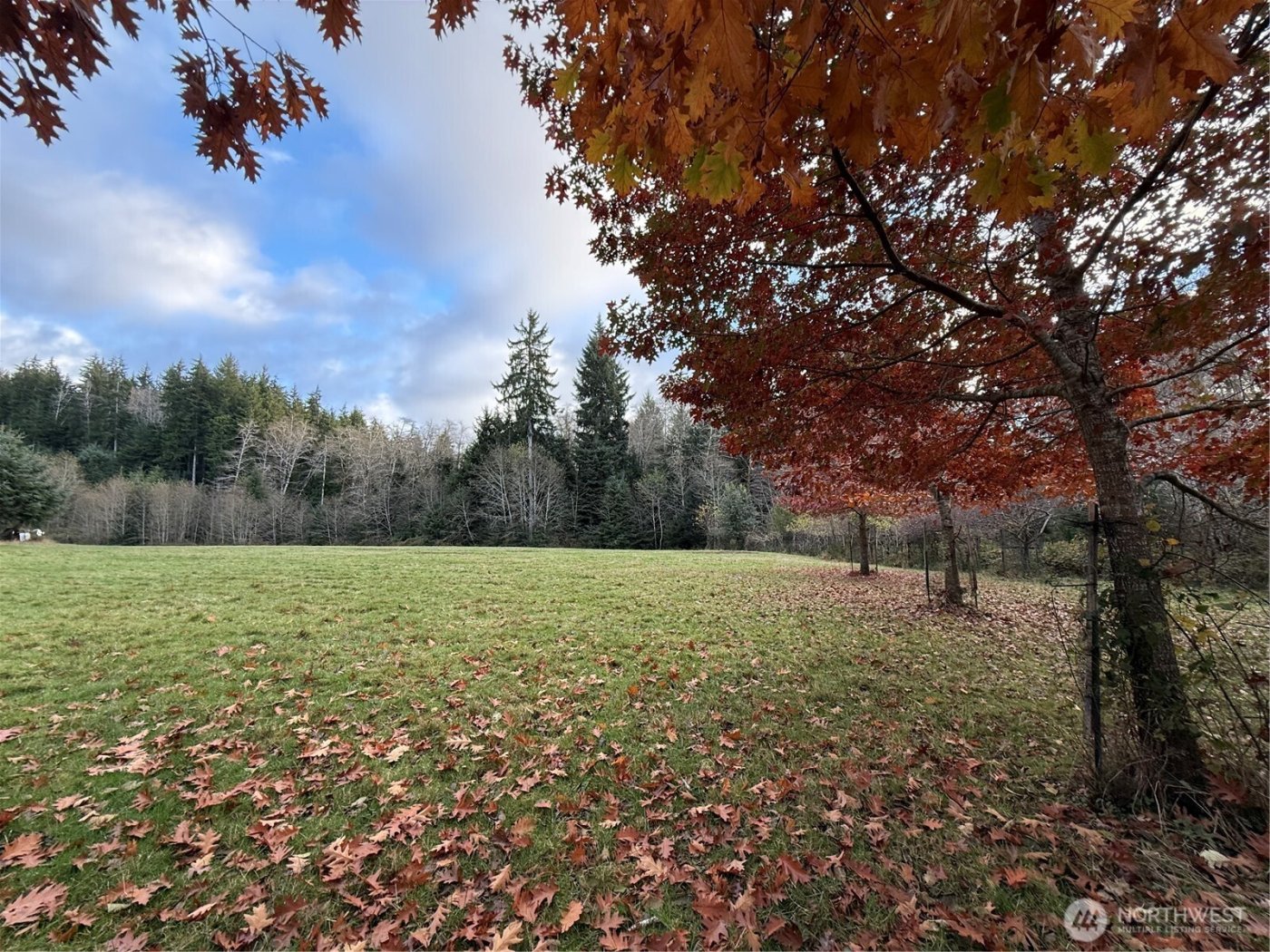 92 Dionne Lane , Naselle, WA 98638