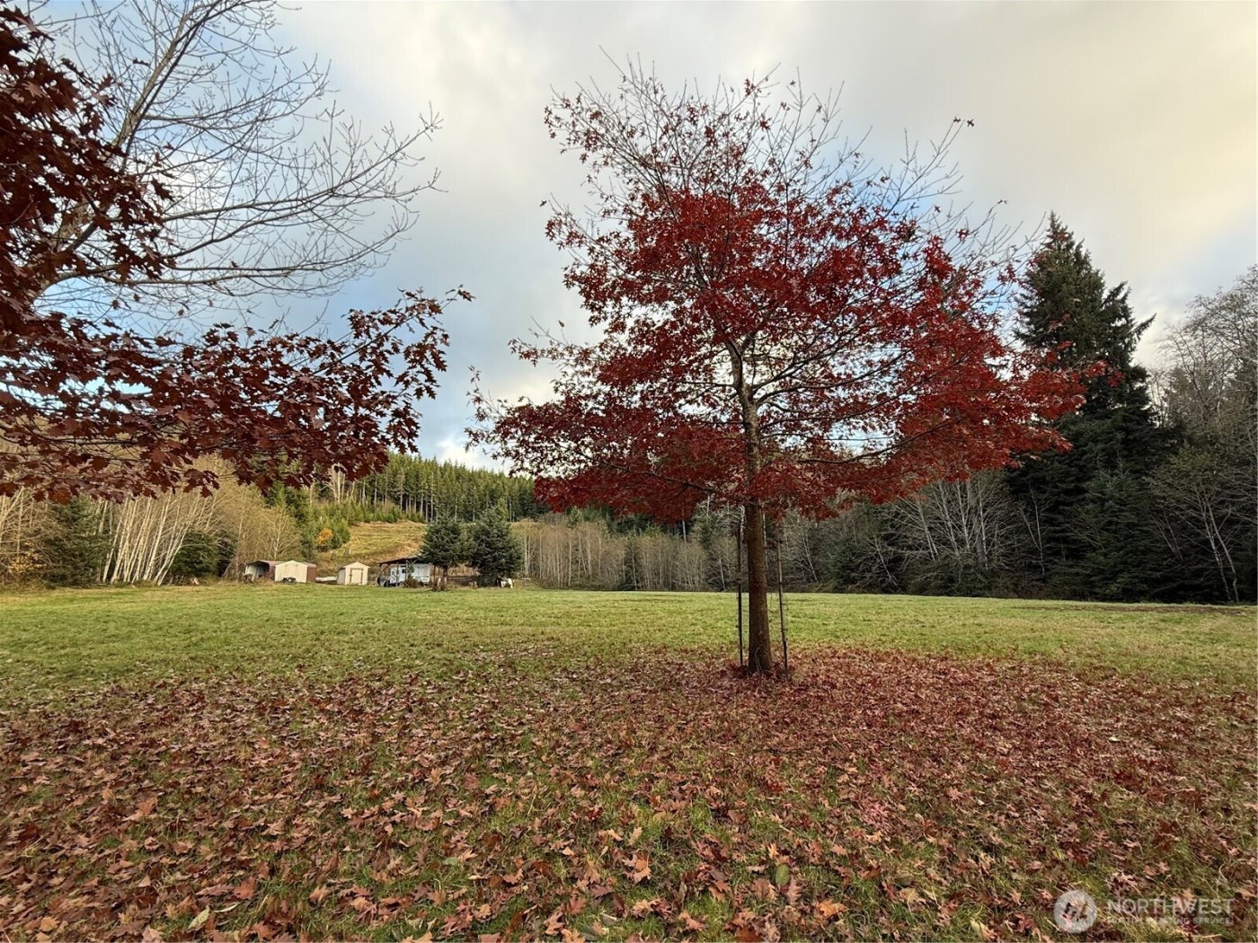 92 Dionne Lane , Naselle, WA 98638