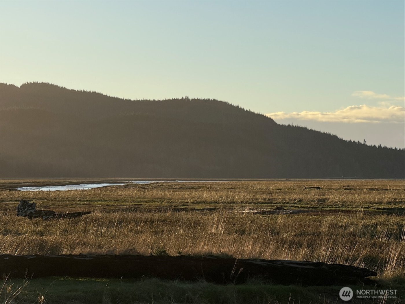 92 Dionne Lane , Naselle, WA 98638