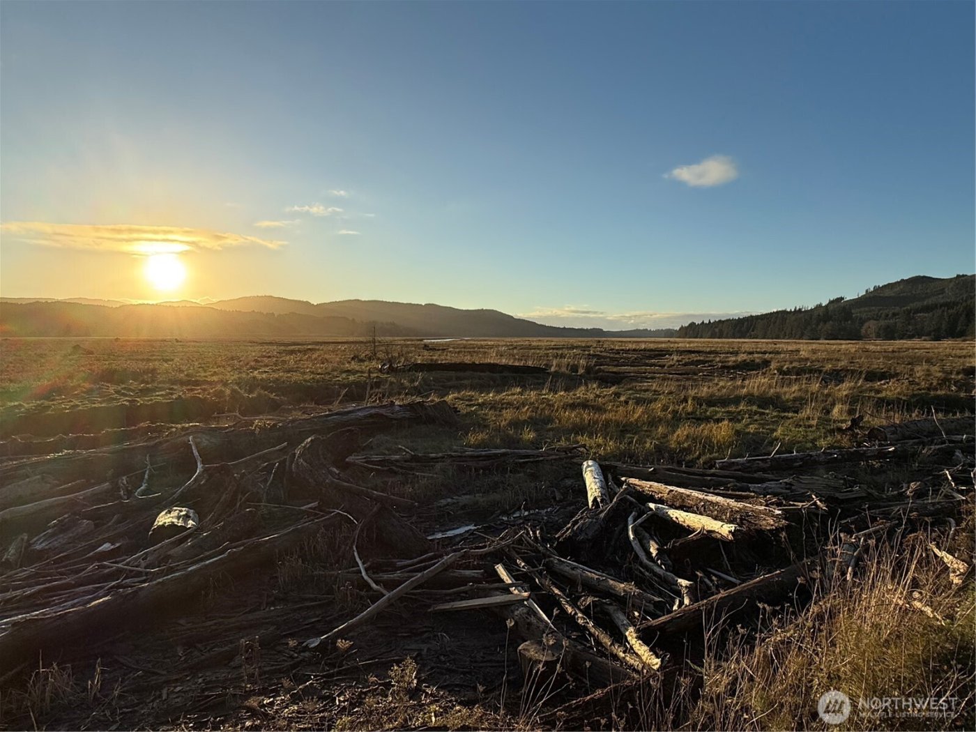 92 Dionne Lane , Naselle, WA 98638