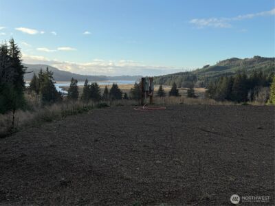 92 Dionne Lane , Naselle, WA 98638 - Photo 4