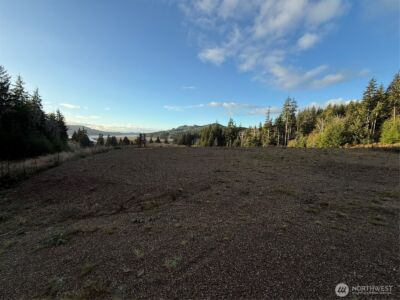 92 Dionne Lane , Naselle, WA 98638 - Photo 5